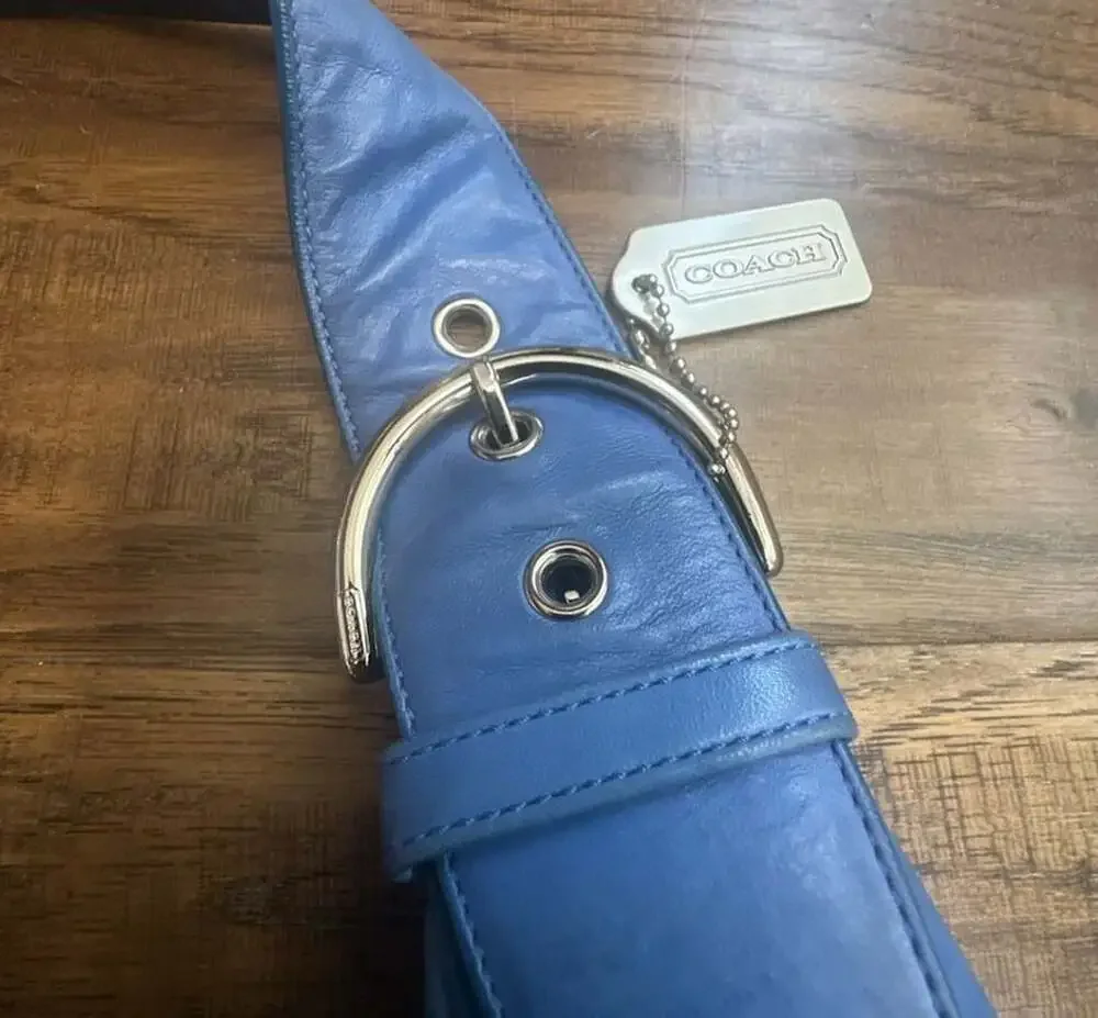 Coach RARE Blue Leather Lamb Nappa Vintage Y2K Tortilla Slouch Hobo 9619
